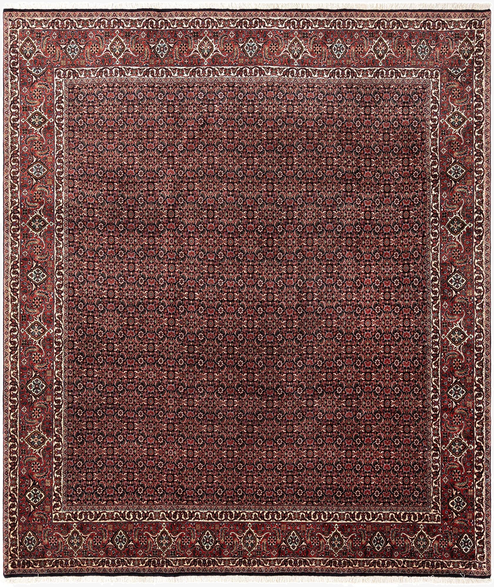  8' 5 x 9' 9 Bidjar Wool Rug
