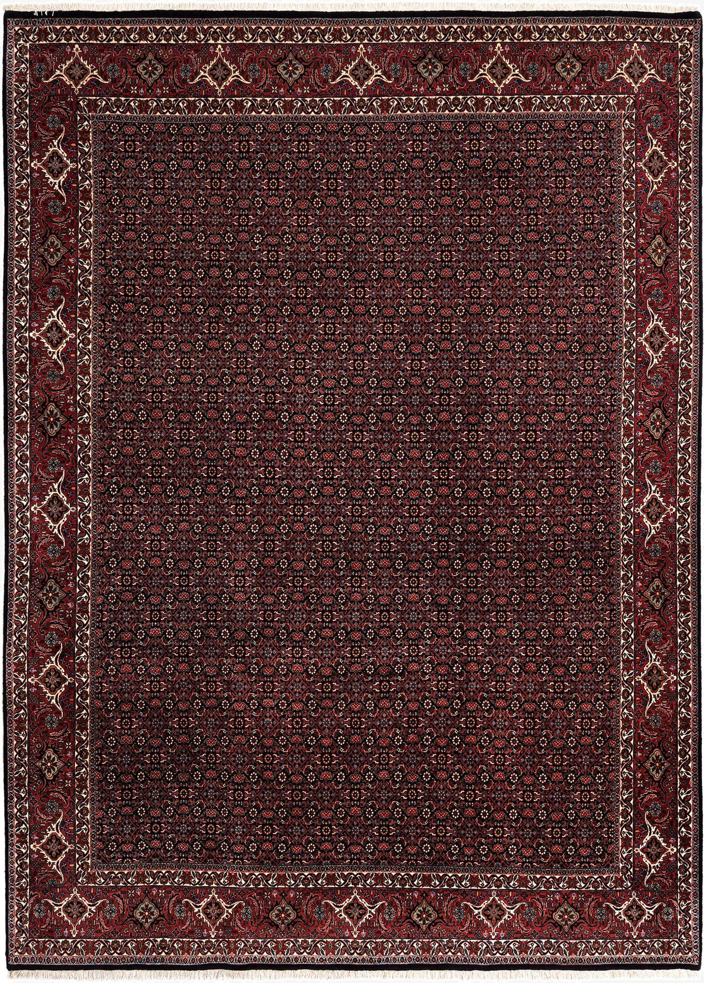  8' 4 x 11' 8 Bidjar Wool Rug