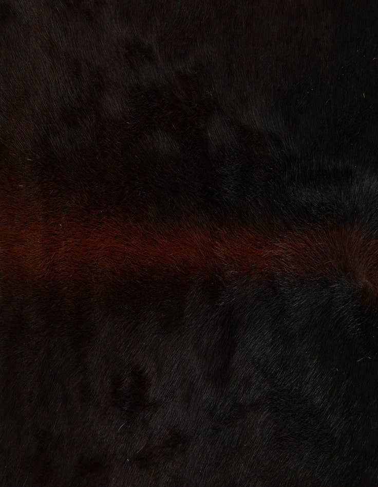 Detail image of  5' 6 x 6' 5 Cowhide Leather Rug