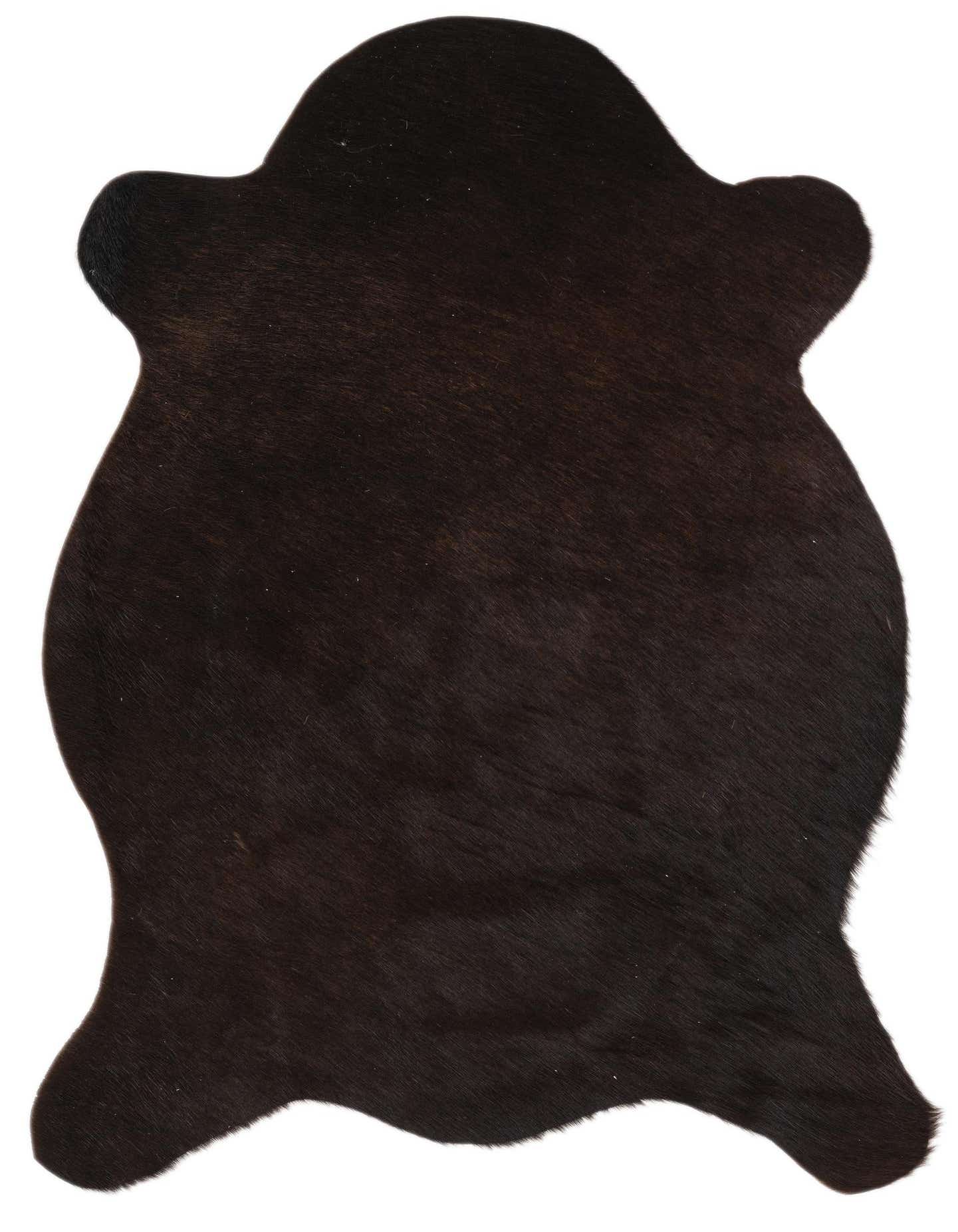 A 2x3 black cowhide rug with an irregular, natural shape, showcasing its dark, textured fur.
