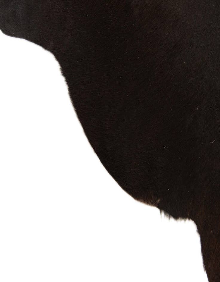 Detail image of  2' 1 x 2' 10 Cowhide Leather Rug