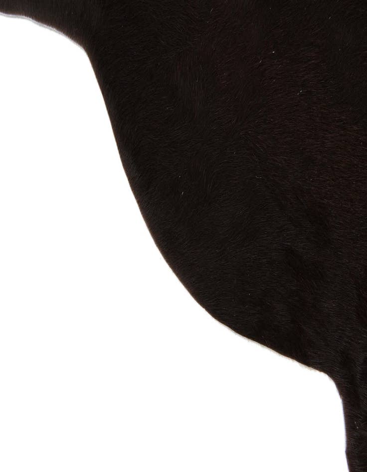 Detail image of  2' 1 x 2' 10 Cowhide Leather Rug