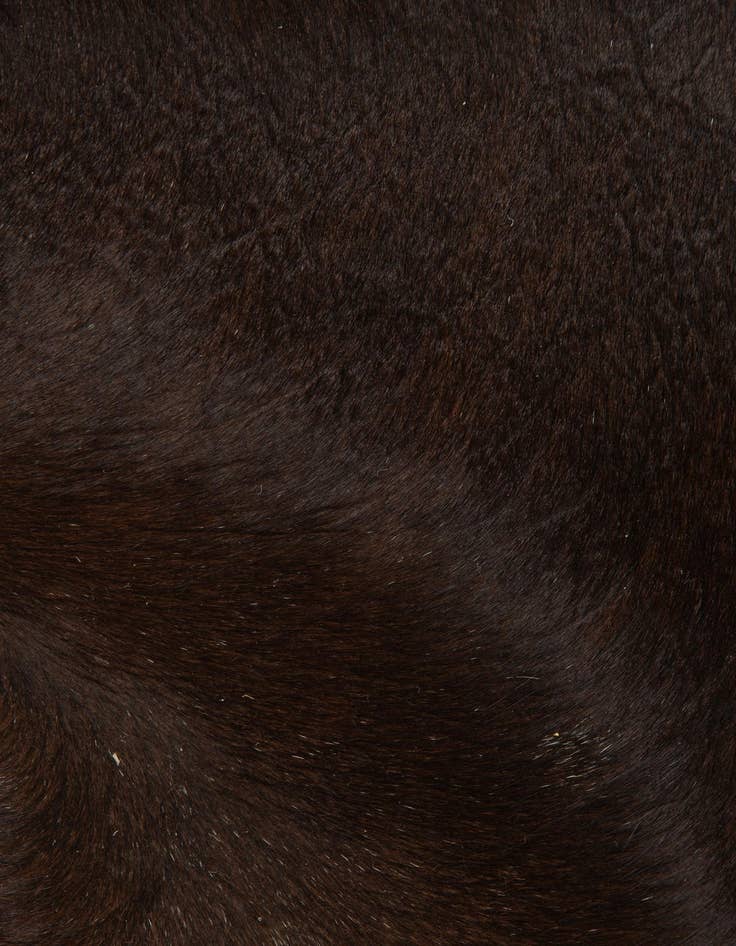 Detail image of  2' 1 x 2' 10 Cowhide Leather Rug