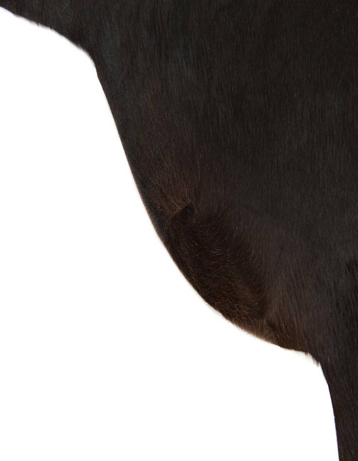 Detail image of  2' 1 x 2' 10 Cowhide Leather Rug