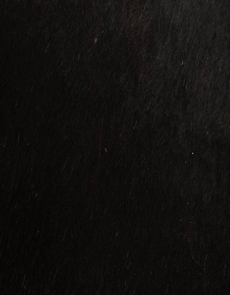 Detail image of  1' 8 x 2' 7 Cowhide Leather Rug