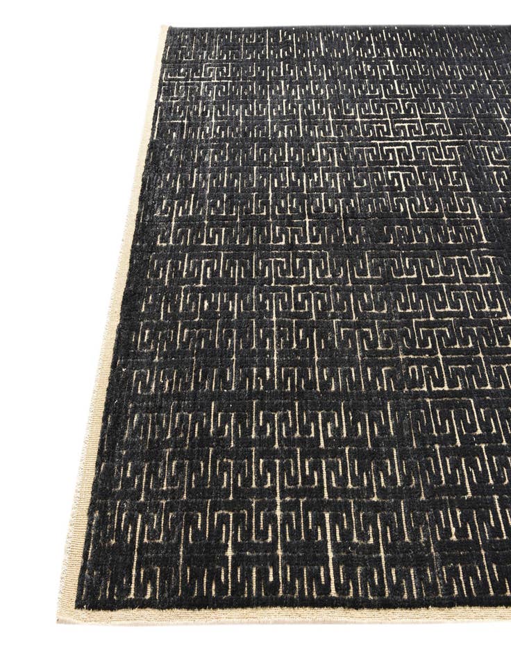 Detail image of  6' 7 x 10'  Hand Knotted Darya Wool Rug