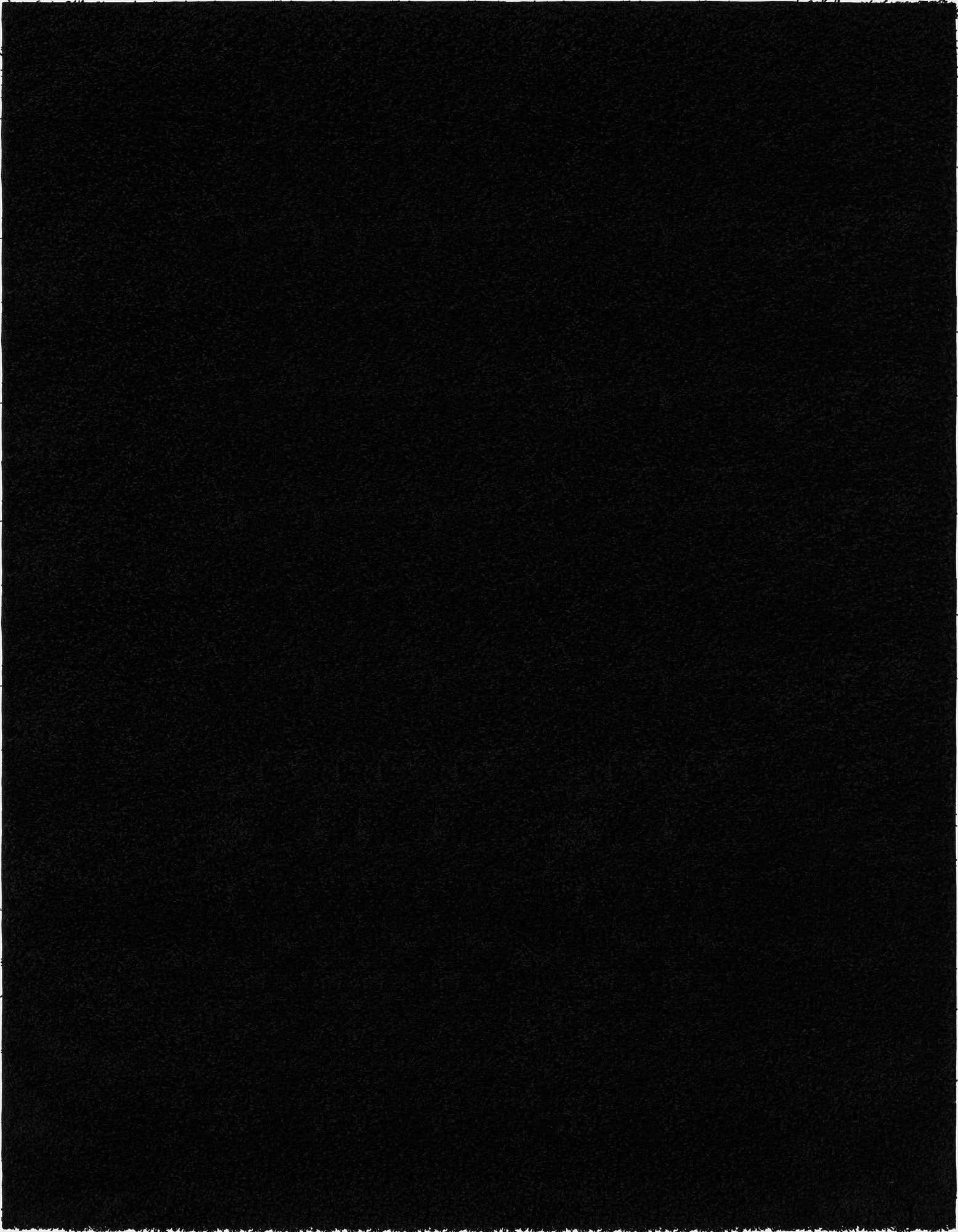 A rectangular 8x10 black shag rug with a plush, textured pile, perfect for a modern living room or bedroom.