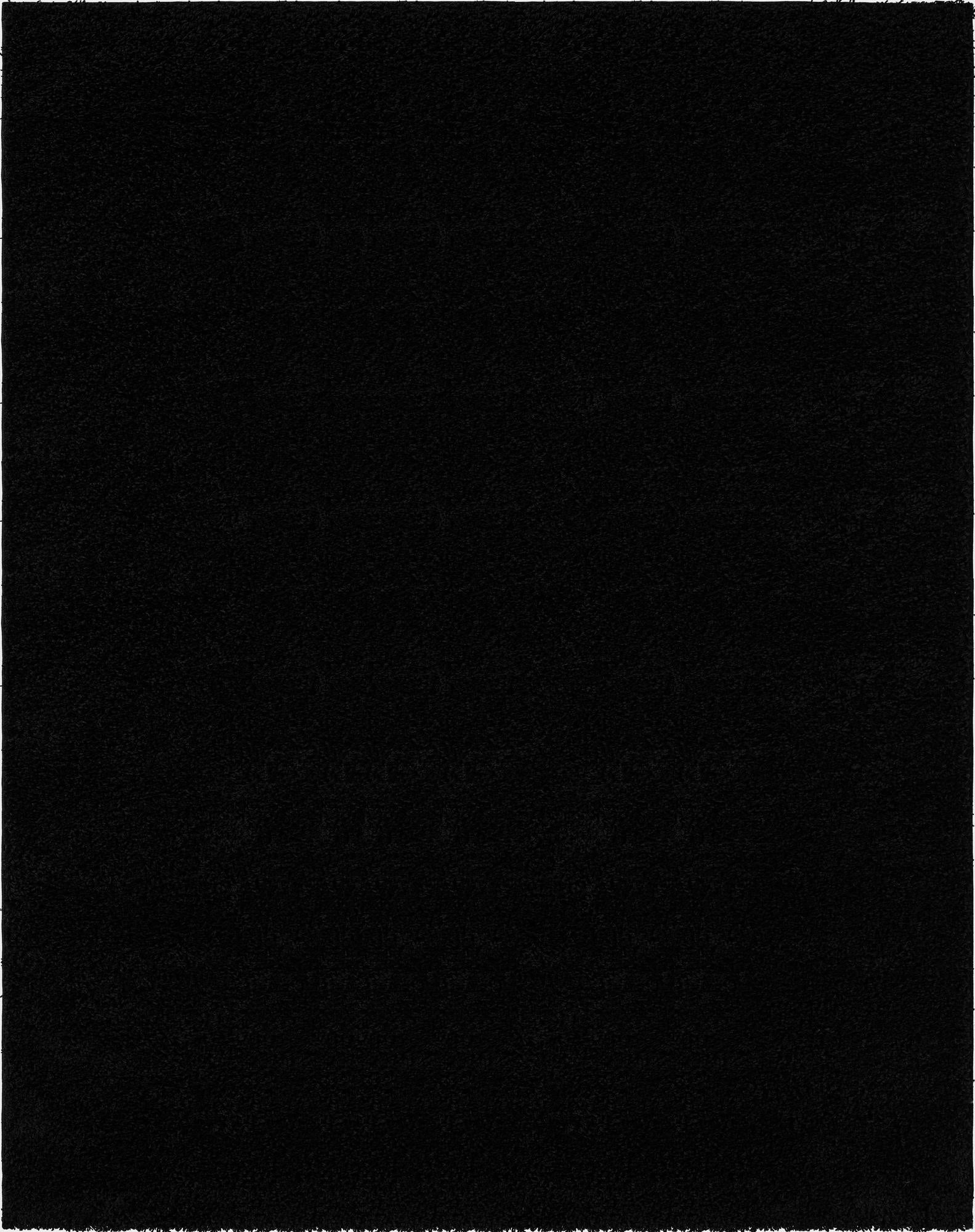  8' x 10' Everyday Shag Rug