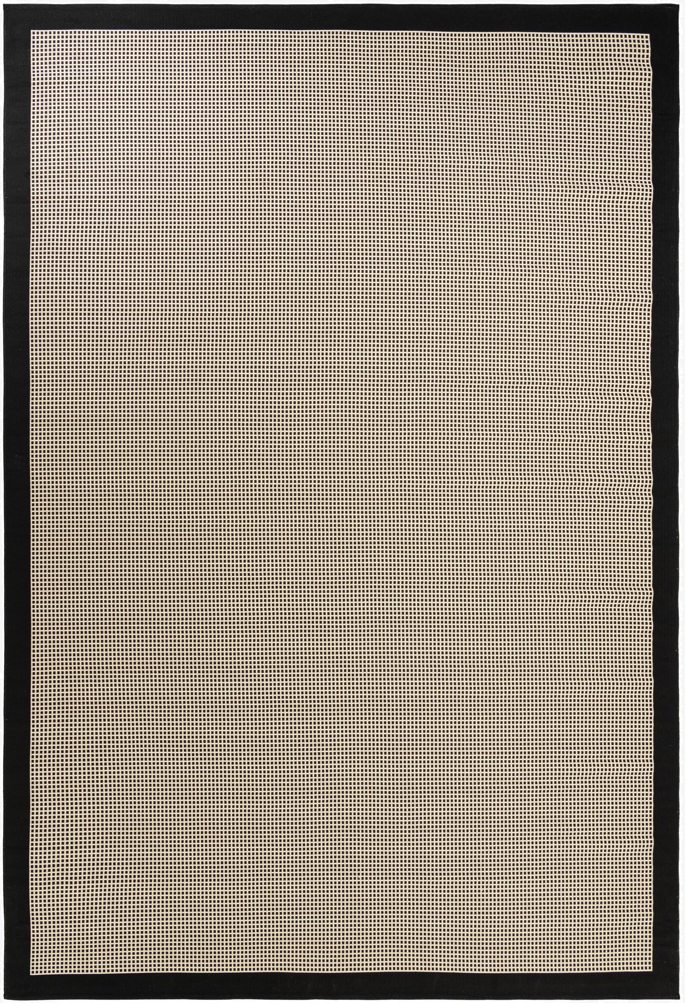  10' x 14'  Washable Border Indoor / Outdoor Rug