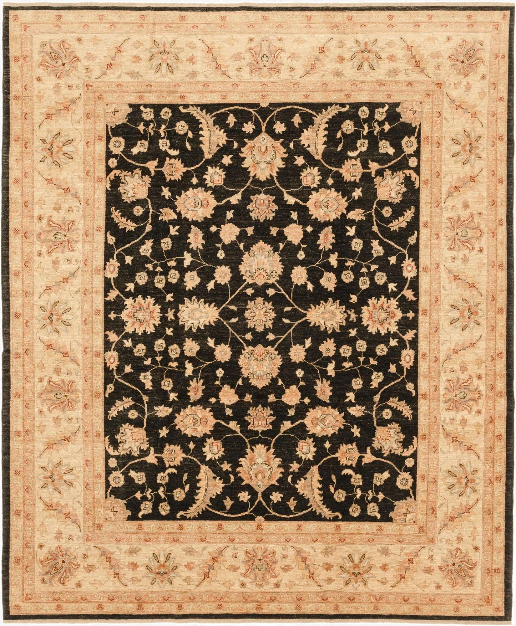  8' 2 x 9' 10  Hand Knotted Peshawar Ziegler Rug