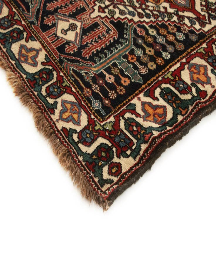 Detail image of  3' 7 x 13' 3 Bachtiar Runner Rug