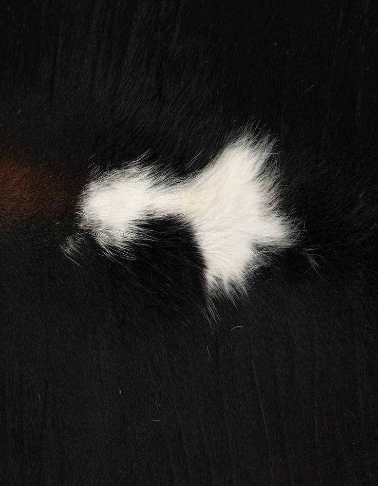 Detail image of  5' 10 x 6' 4 Cowhide Leather Square Rug