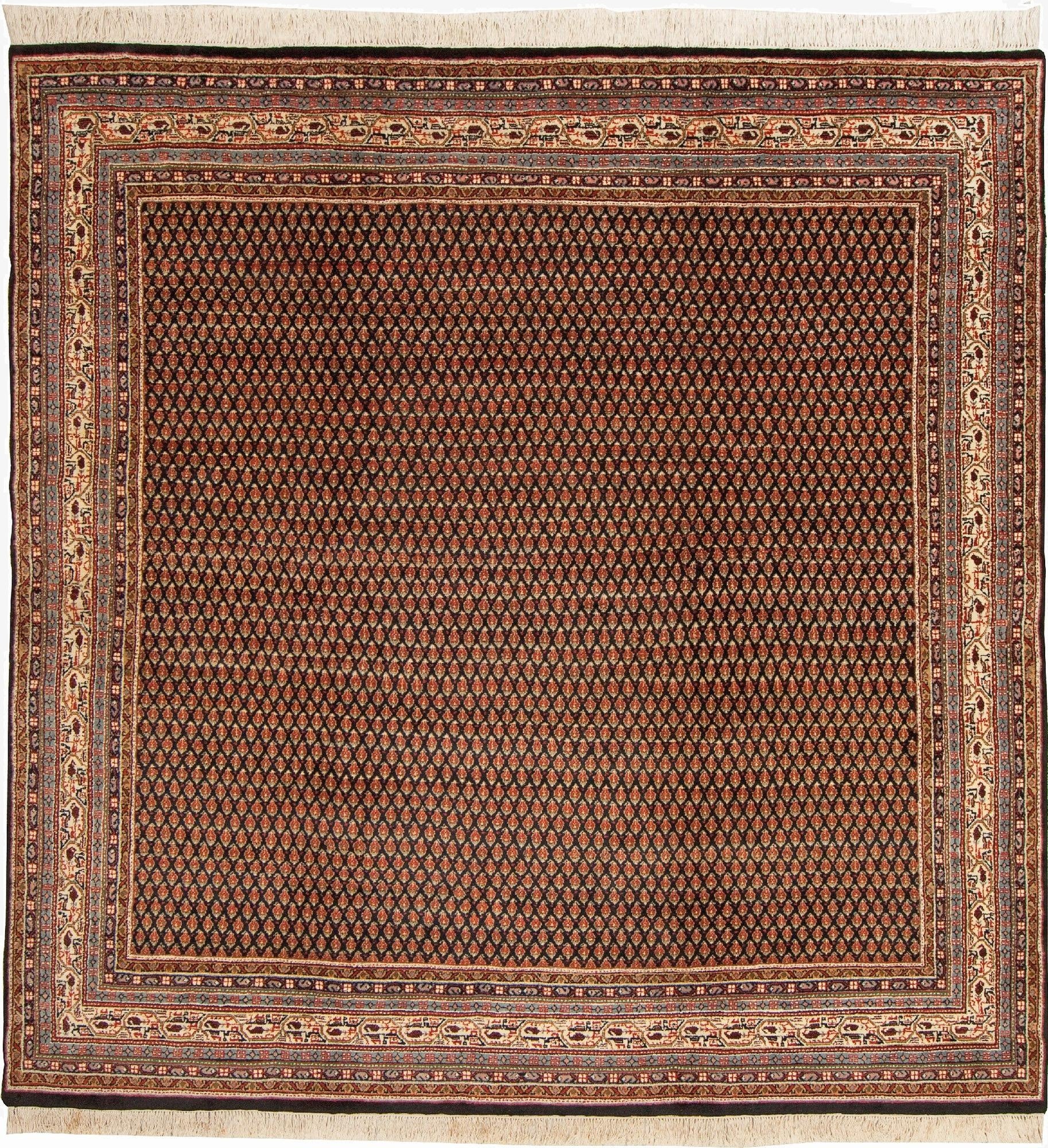  7' 10 x 8' 1 Mir Square Rug