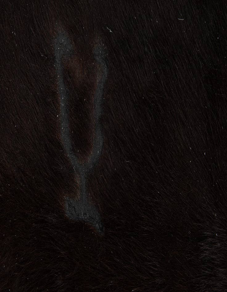 Detail image of  4' 5 x 5' 6 Cowhide Leather Freeform Rug