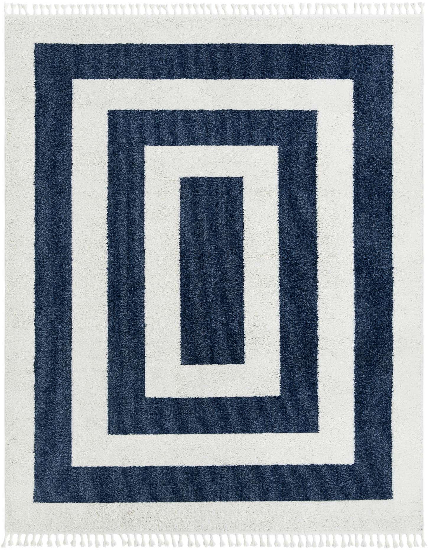 A 9x12 rectangular indoor rug featuring a modern geometric pattern of concentric navy blue and white stripes, with white fringe.