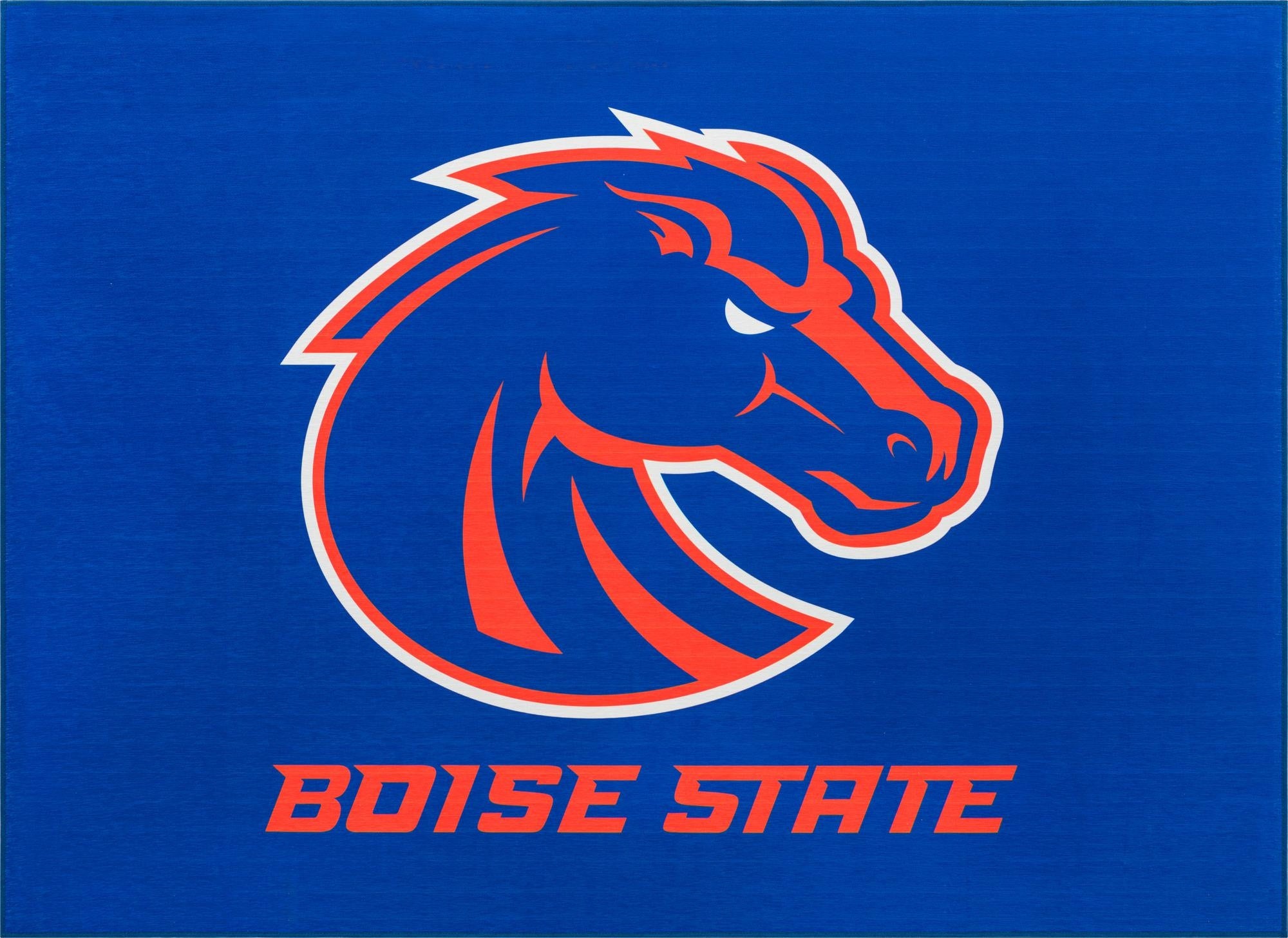  5' x 7' College Collection Rug