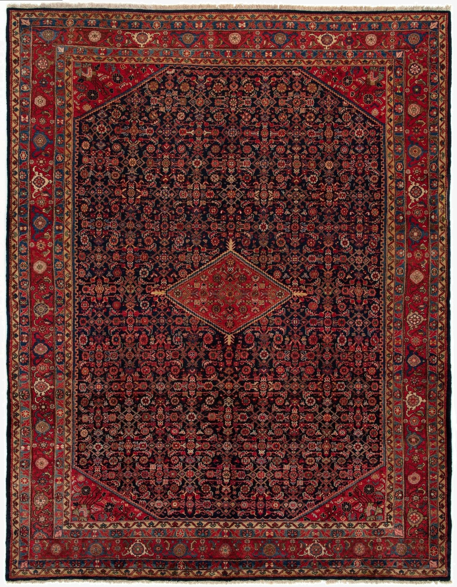 8' 11 x 11' 7  Hand Knotted Malayer Persian Rug
