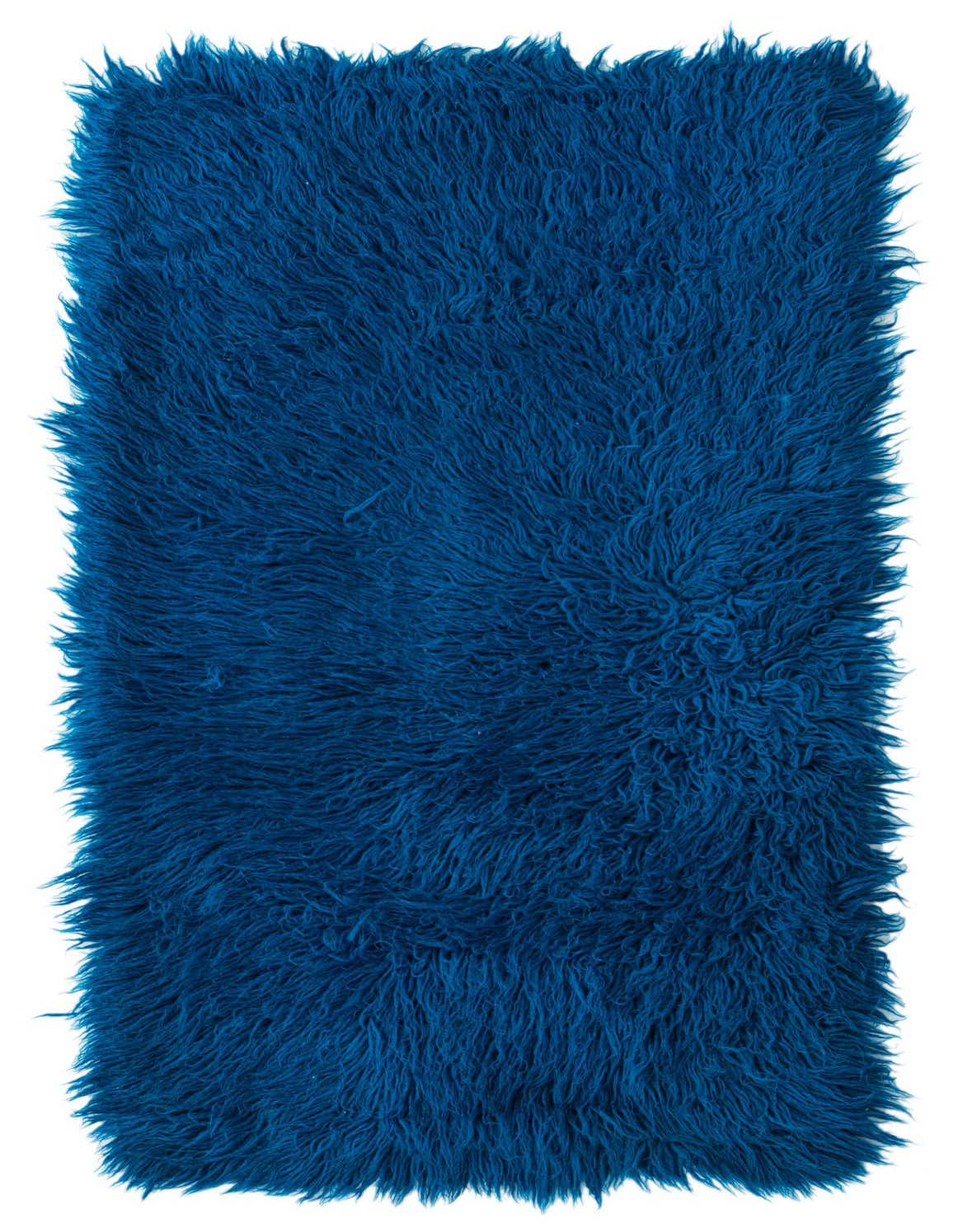 A rectangular 2x3 blue shag rug with a plush, shaggy texture, perfect for adding warmth to any indoor space.