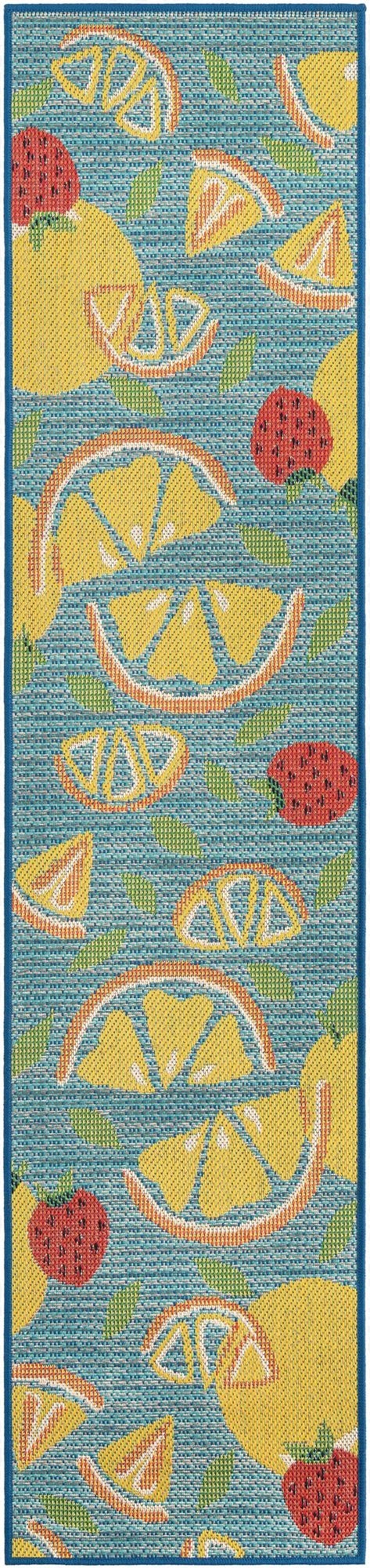  2' x 8'  Washable Baja Indoor / Outdoor Runner Rug