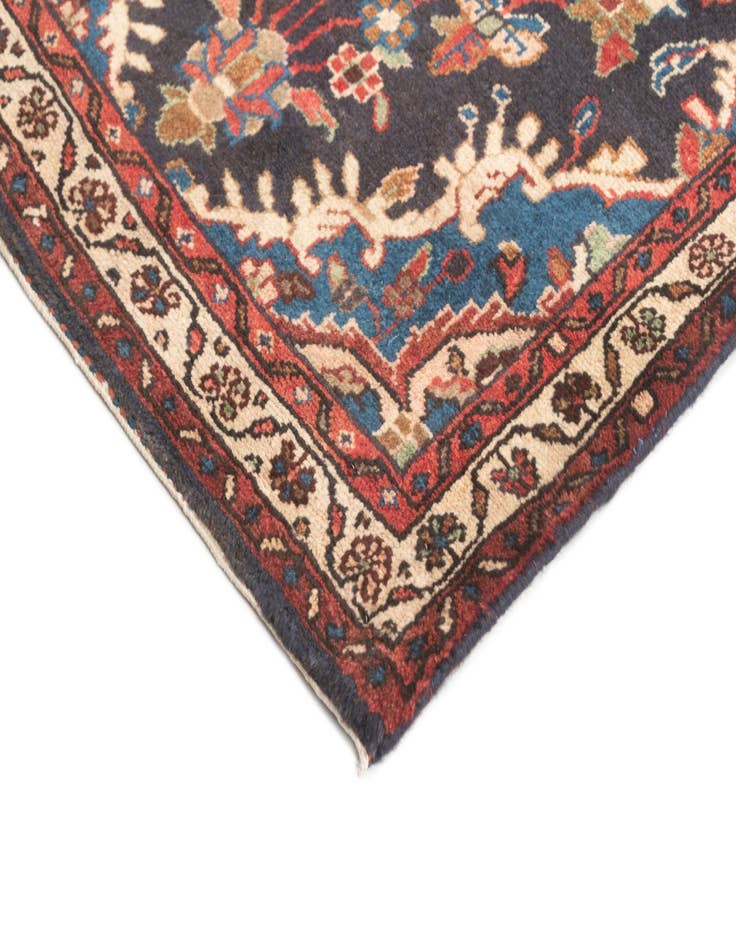 Detail image of  3' x 14' 8 Hamedan Runner Rug
