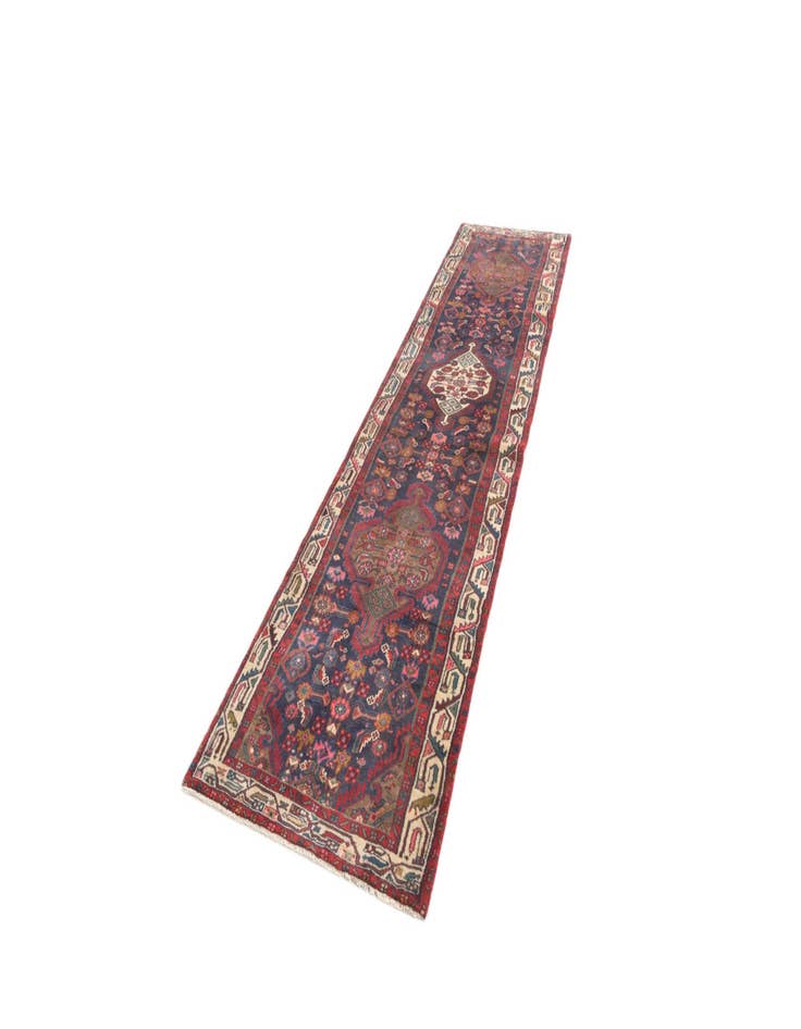 Detail image of  2' 5 x 10' 1 Hamedan Runner Rug