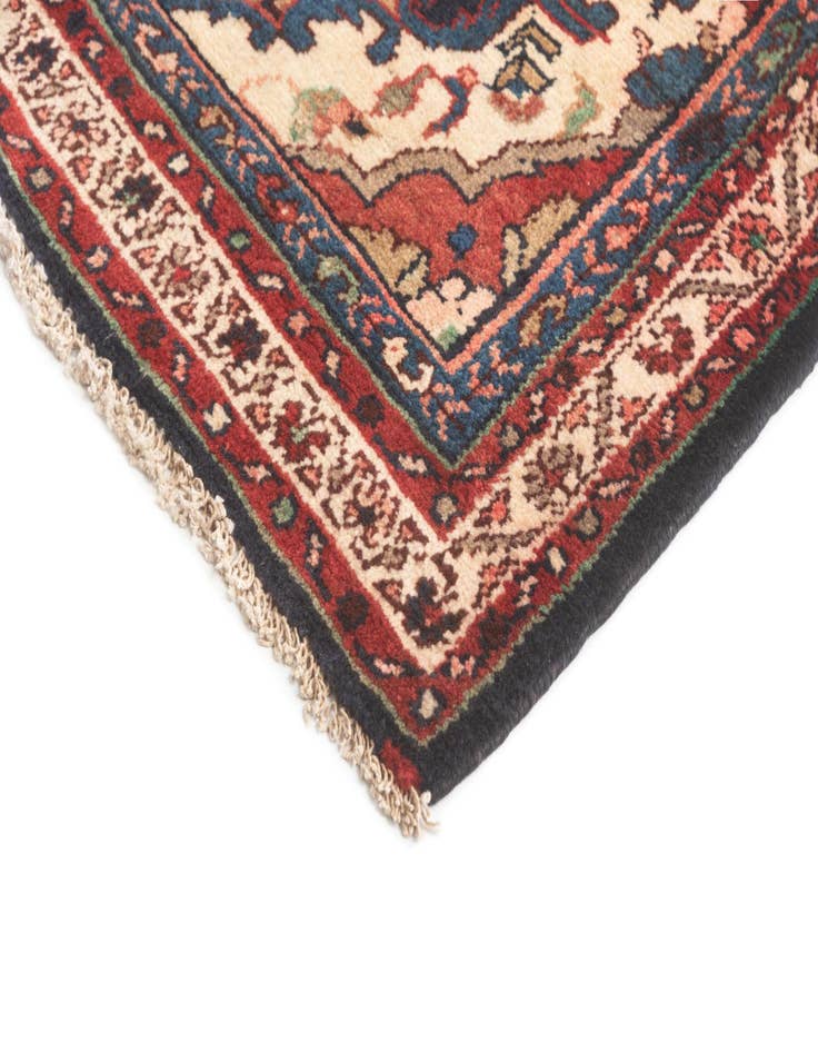 Detail image of  3' 3 x 13' Hamedan Runner Rug