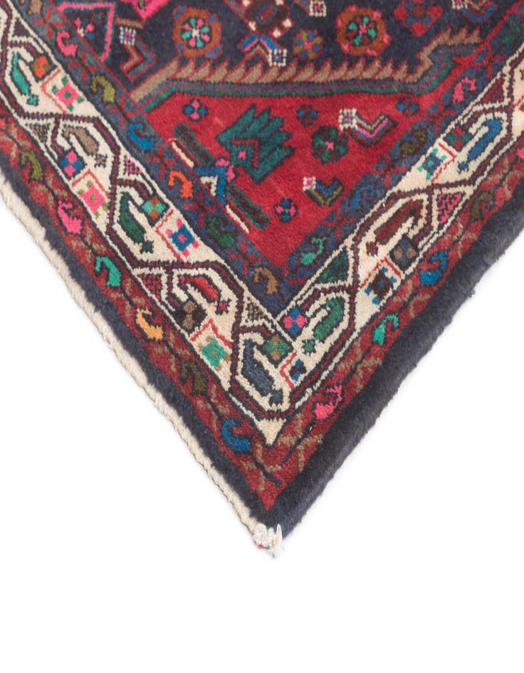 Detail image of  3' 4 x 10' 4 Hamedan Runner Rug