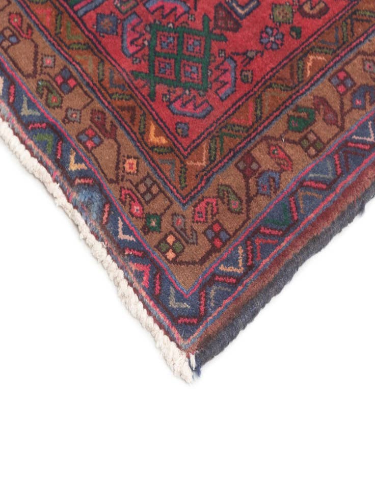 Detail image of  3' 4 x 9' 8 Hamedan Runner Rug
