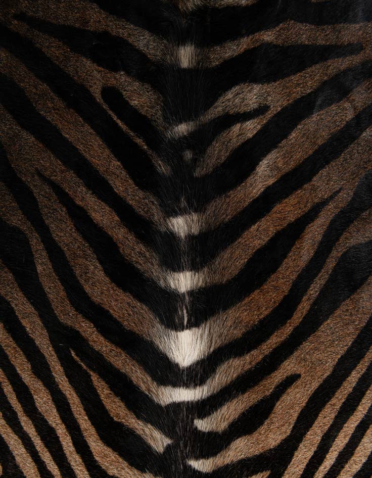 Detail image of  6' x 6' 6 Cowhide Leather Freeform Rug