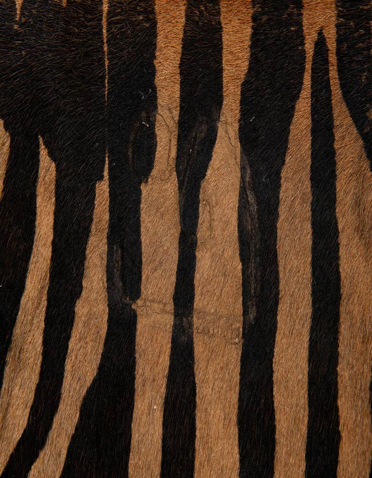 Detail image of  6' 7 x 6' 7 Cowhide Leather Freeform Rug