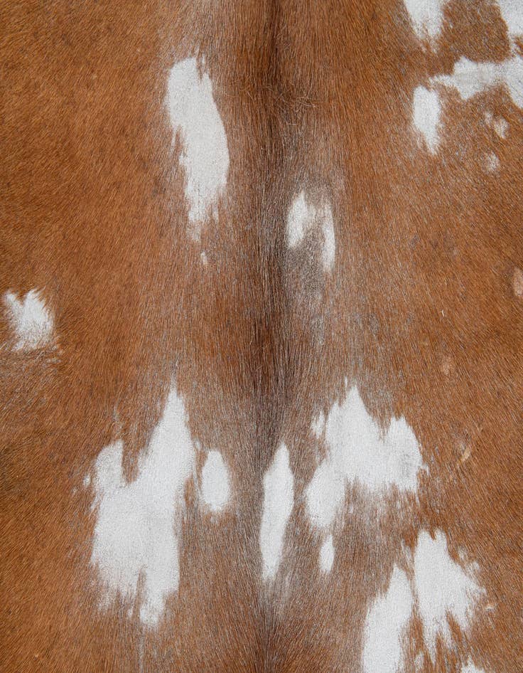 Detail image of  5' 10 x 6' 9 Cowhide Leather Freeform Rug