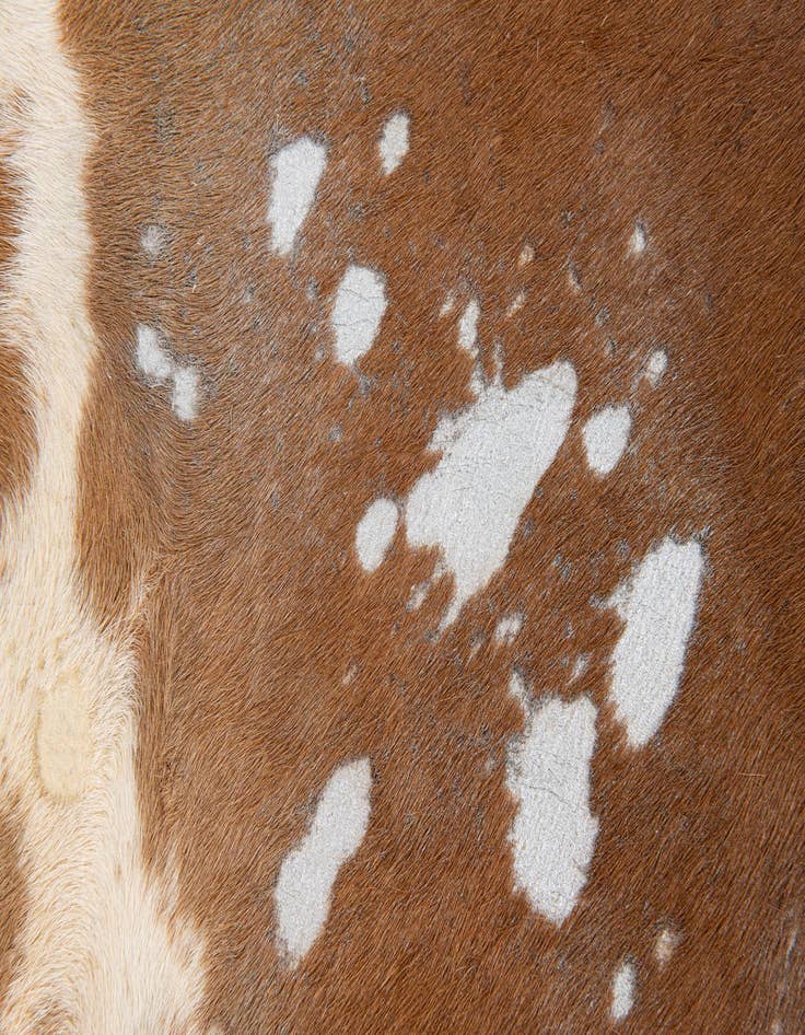 Detail image of  5' 10 x 6' 9 Cowhide Leather Freeform Rug