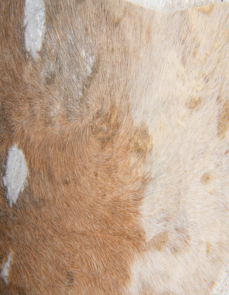 Detail image of  6' 2 x 6' 10 Cowhide Leather Freeform Rug