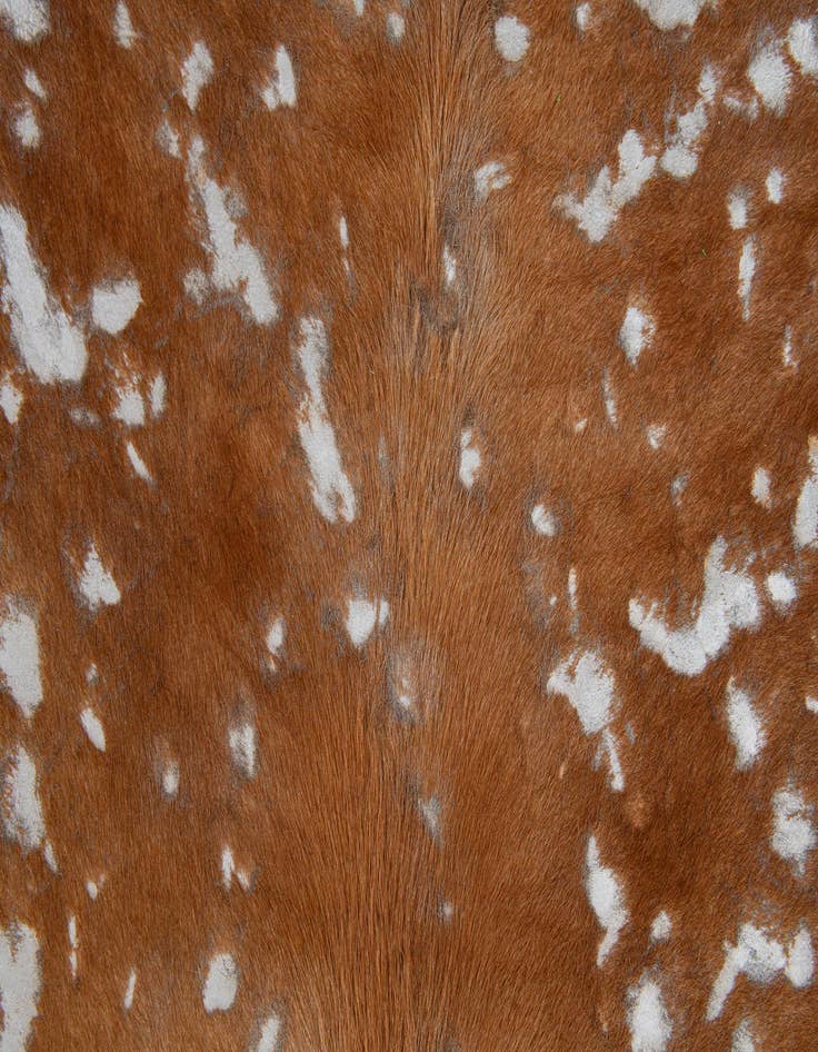 Detail image of  7' x 7' Cowhide Leather Freeform Rug