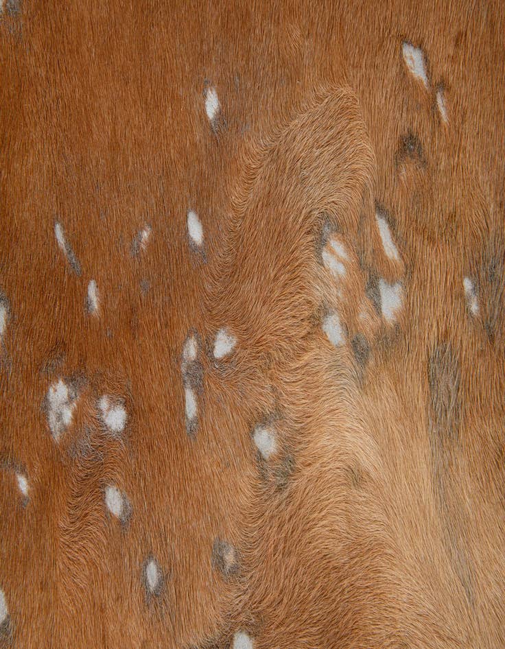 Detail image of  7' x 7' Cowhide Leather Freeform Rug