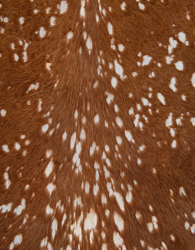 Detail image of  6' 10 x 7' Cowhide Leather Freeform Rug
