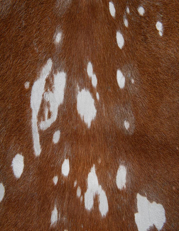 Detail image of  6' 4 x 6' 9 Cowhide Leather Freeform Rug