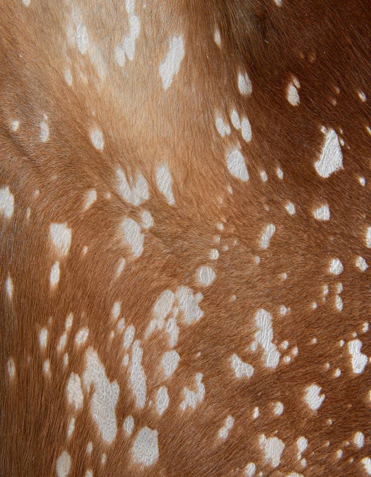 Detail image of  6' x 6' 9 Cowhide Leather Freeform Rug