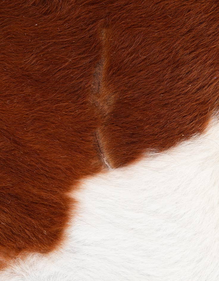 Detail image of  7' x 7' 6 Cowhide Leather Freeform Rug