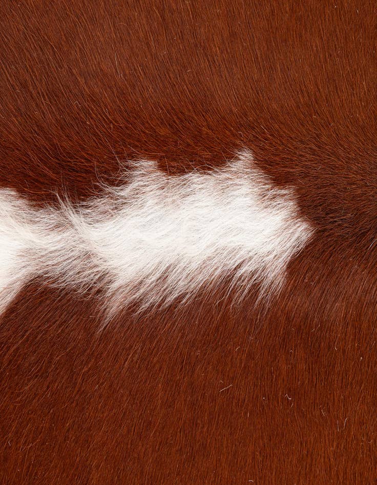 Detail image of  7' x 7' 6 Cowhide Leather Freeform Rug