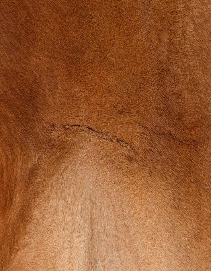 Detail image of  5' 9 x 6' 5 Cowhide Leather Freeform Rug