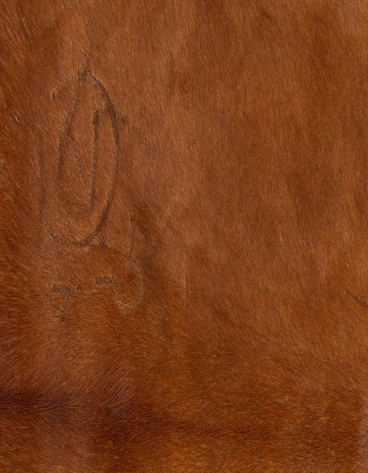 Detail image of  5' 9 x 6' 5 Cowhide Leather Freeform Rug