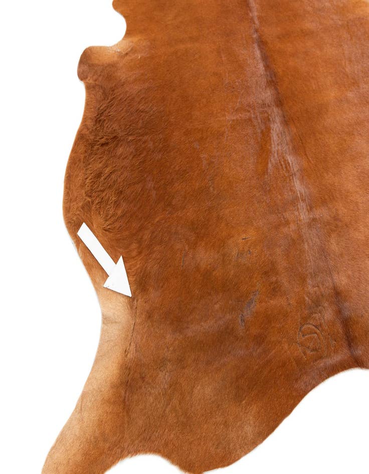 Detail image of  5' 9 x 6' 5 Cowhide Leather Freeform Rug