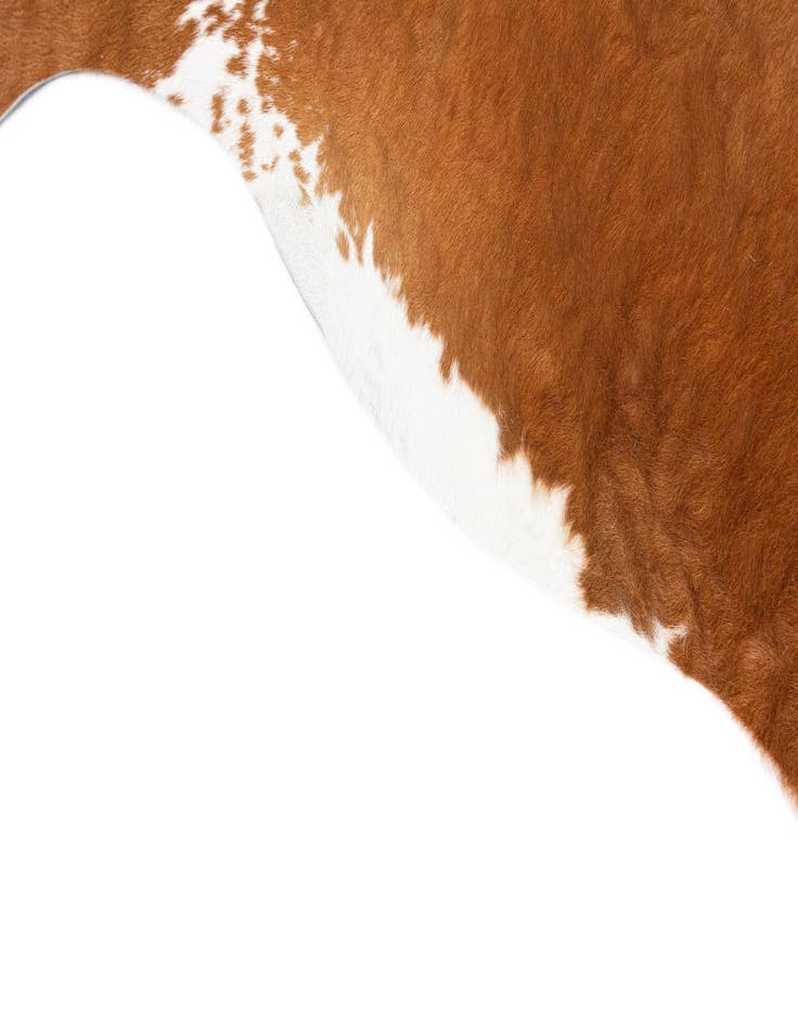 Detail image of  5' 7 x 6' 4 Cowhide Leather Freeform Rug