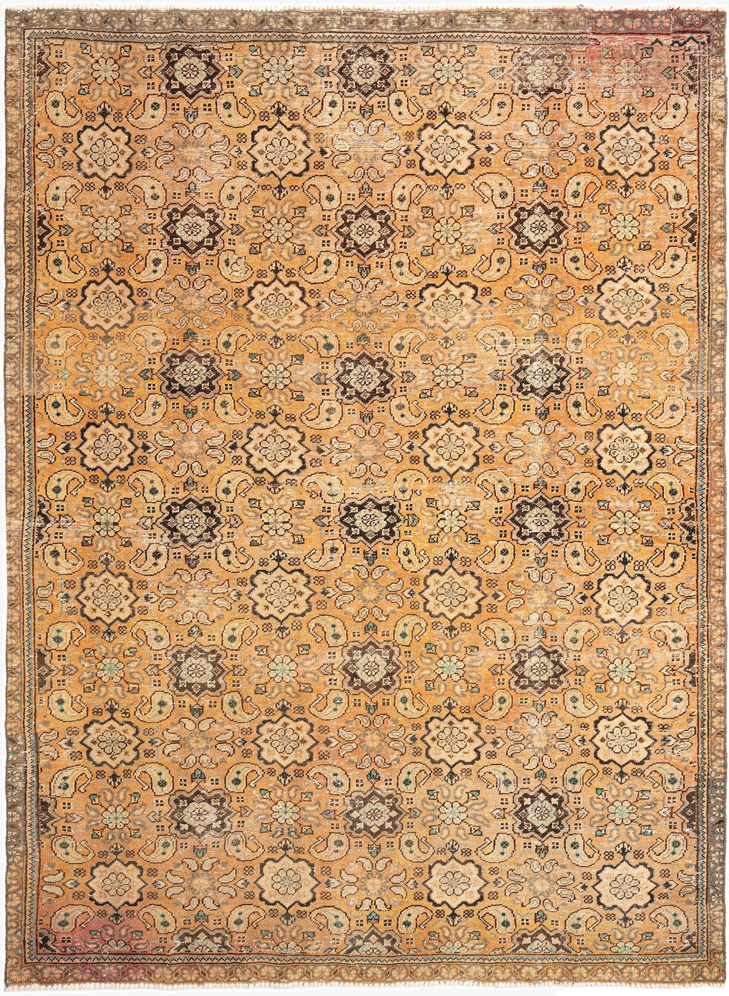  7' 7 x 10' 10 Arak Wool Rug