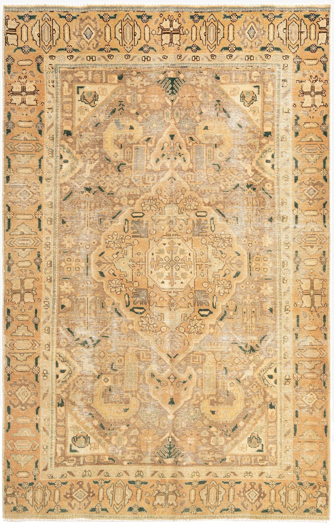  5' 8 x 8' 11 Arak Wool Rug
