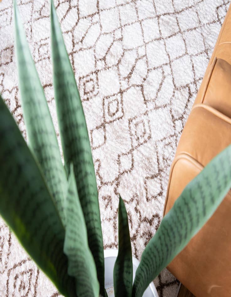 Detail image of 8' 2 x 10' 2 Artemis Rug