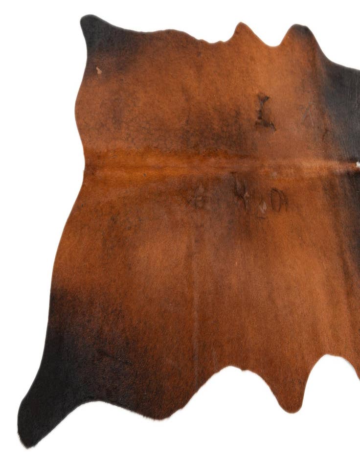 Detail image of  4' 1 x 5' 7 Cowhide Leather Rug