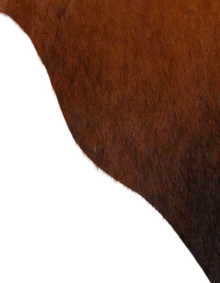 Detail image of  4' 1 x 5' 7 Cowhide Leather Rug