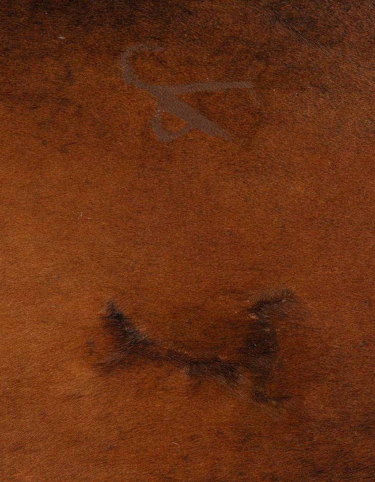 Detail image of  4' 1 x 5' 7 Cowhide Leather Rug